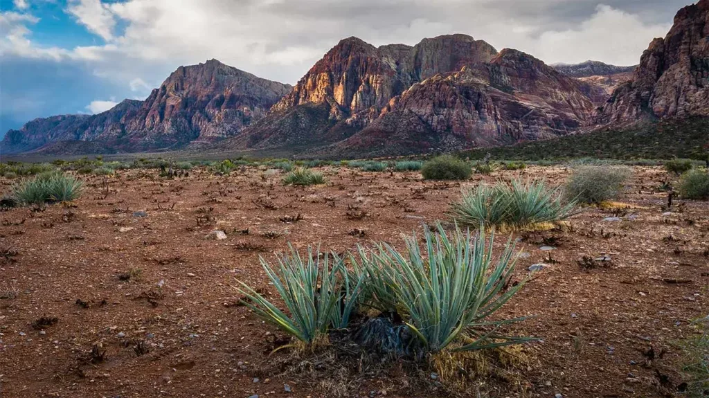 Alamo Nevada : halte paisible entre US-93, Pahranagat et grands espaces