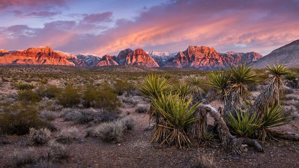 decouvrirr-red-rock-canyon