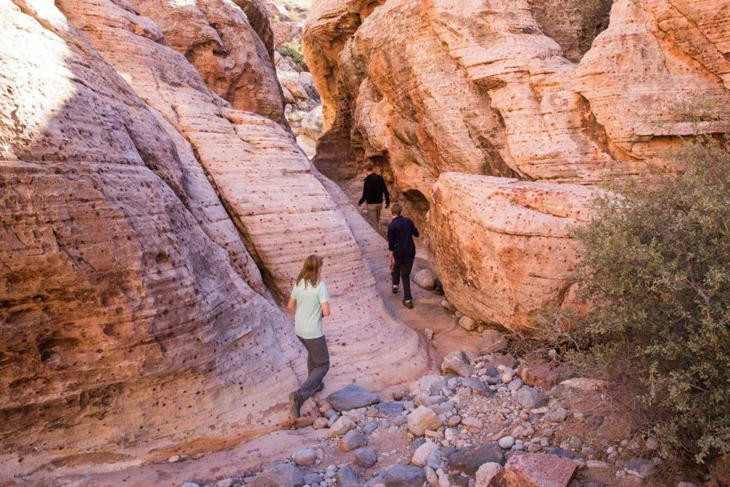 Trois randonnées canyon au Nevada : choisir selon saison et niveau