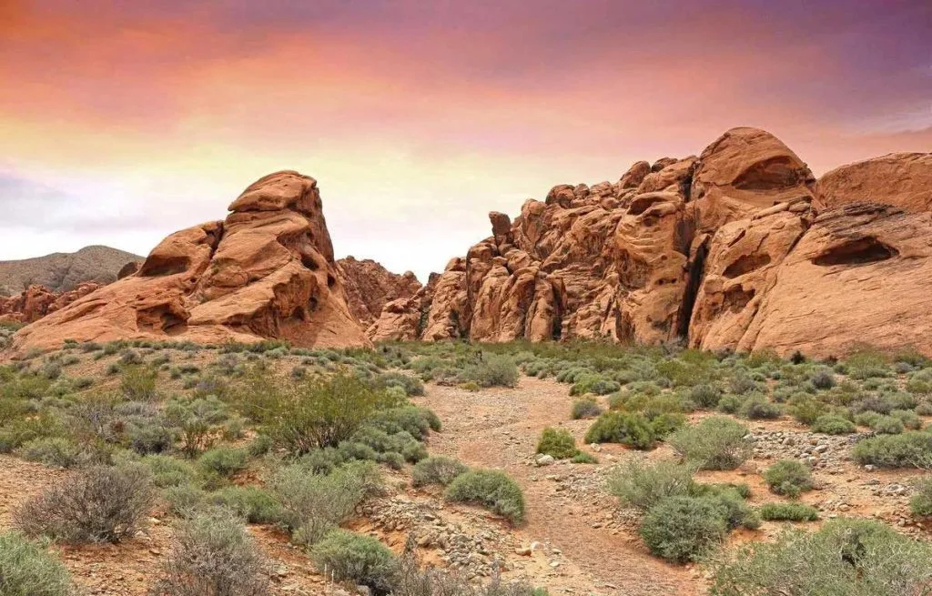 Désert du Nevada : préparer une aventure sobre, belle et sûre
