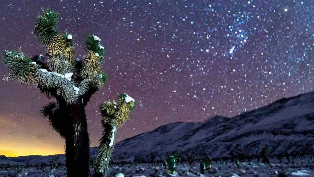 Ciel nocturne étoilé dans le désert du Nevada