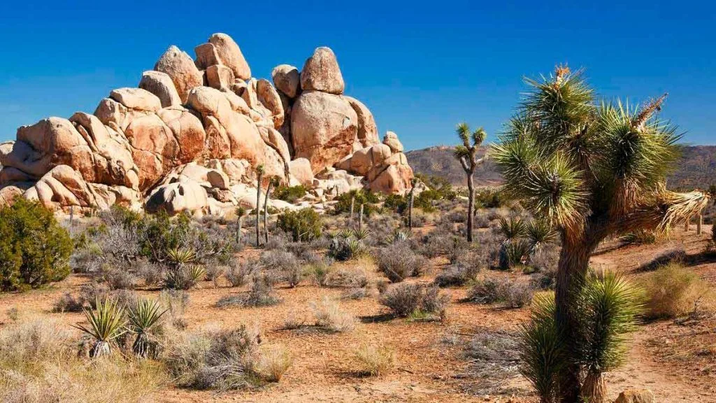 Paysage ouvert du désert de Mojave avec route et montagnes