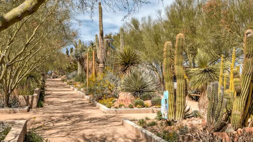 Las Vegas Springs Preserve avec enfants entre jardin, musée et désert