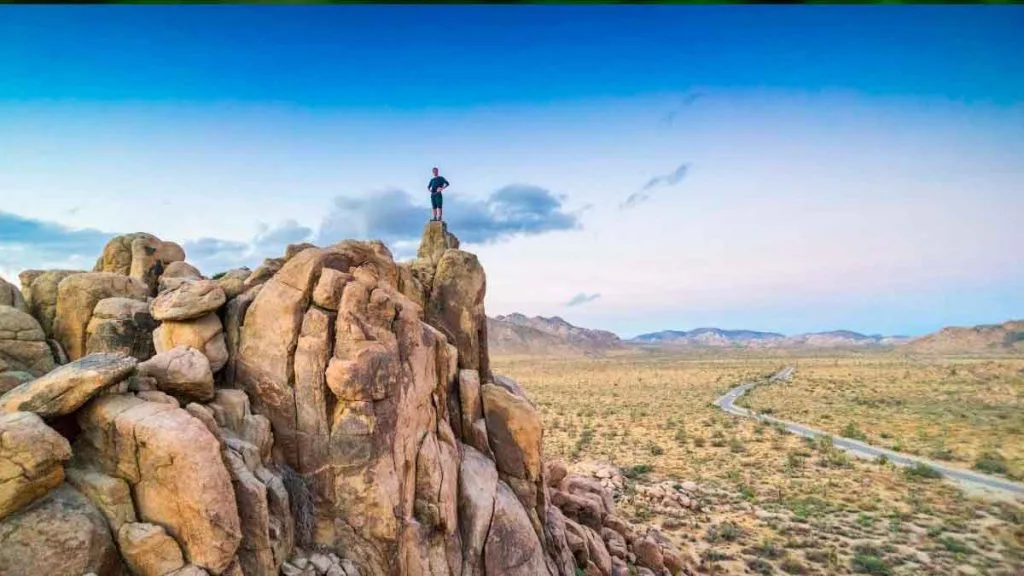Sentier dans le Mojave National Preserve
