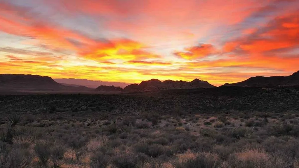 Nuit dans le désert du Nevada sous un ciel étoilé