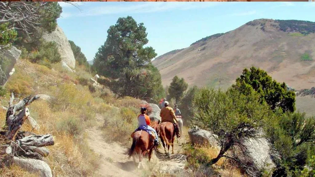 Randonnée à cheval dans le désert du Nevada