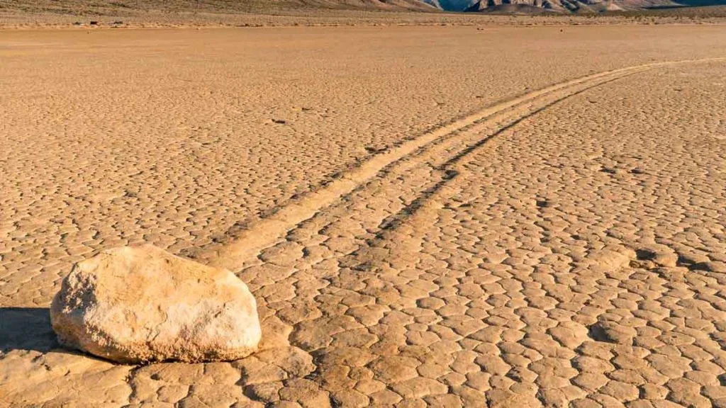 Faune et flore de Death Valley : comment le vivant résiste à la fournaise
